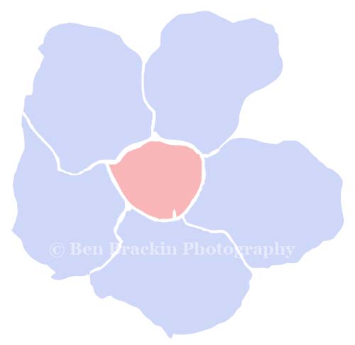 The Pestle by Ben Brackin